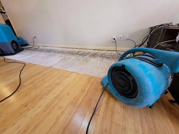 Professional Water Extraction technician working in Temple, GA